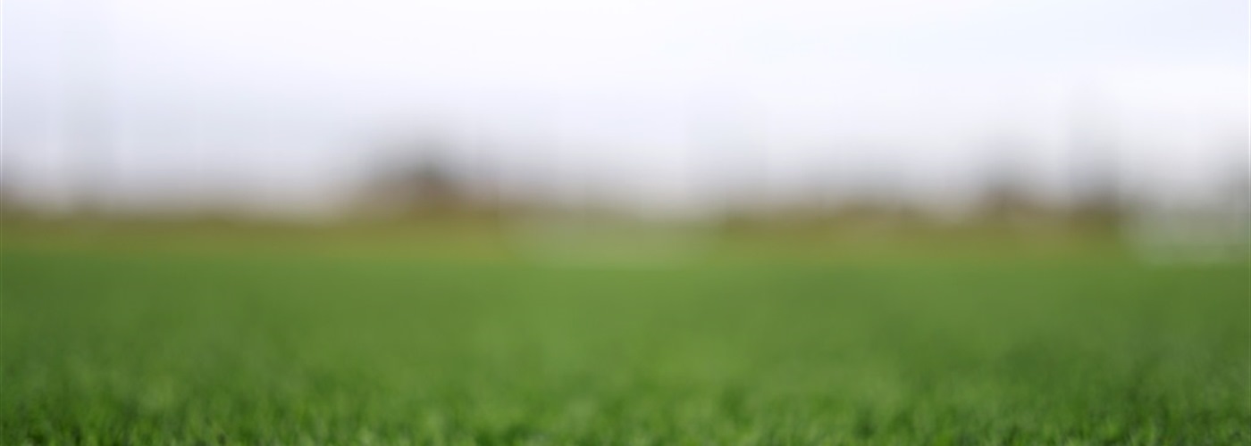 Understand Your Club&#39;s Finances